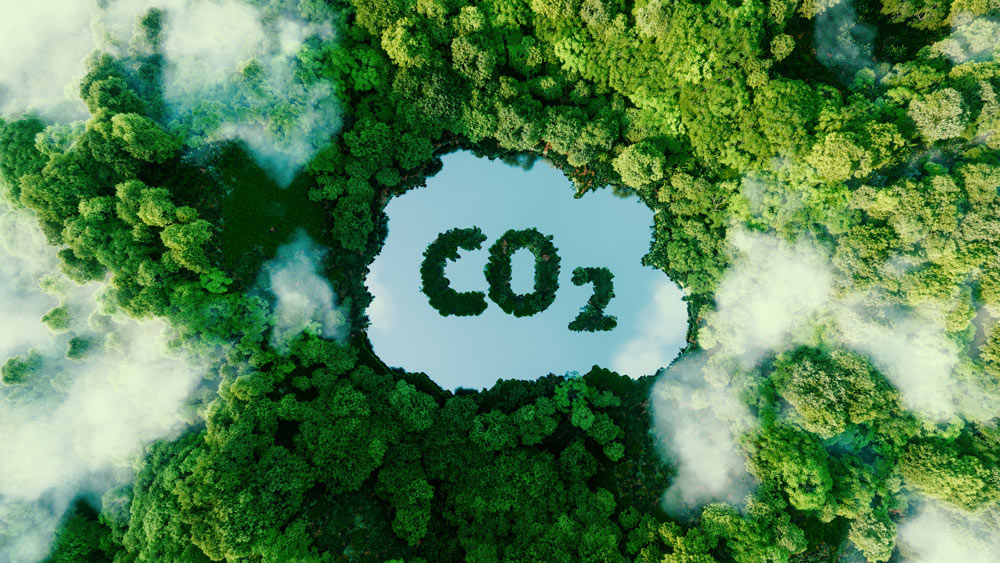 Digital carbon footprint CO2